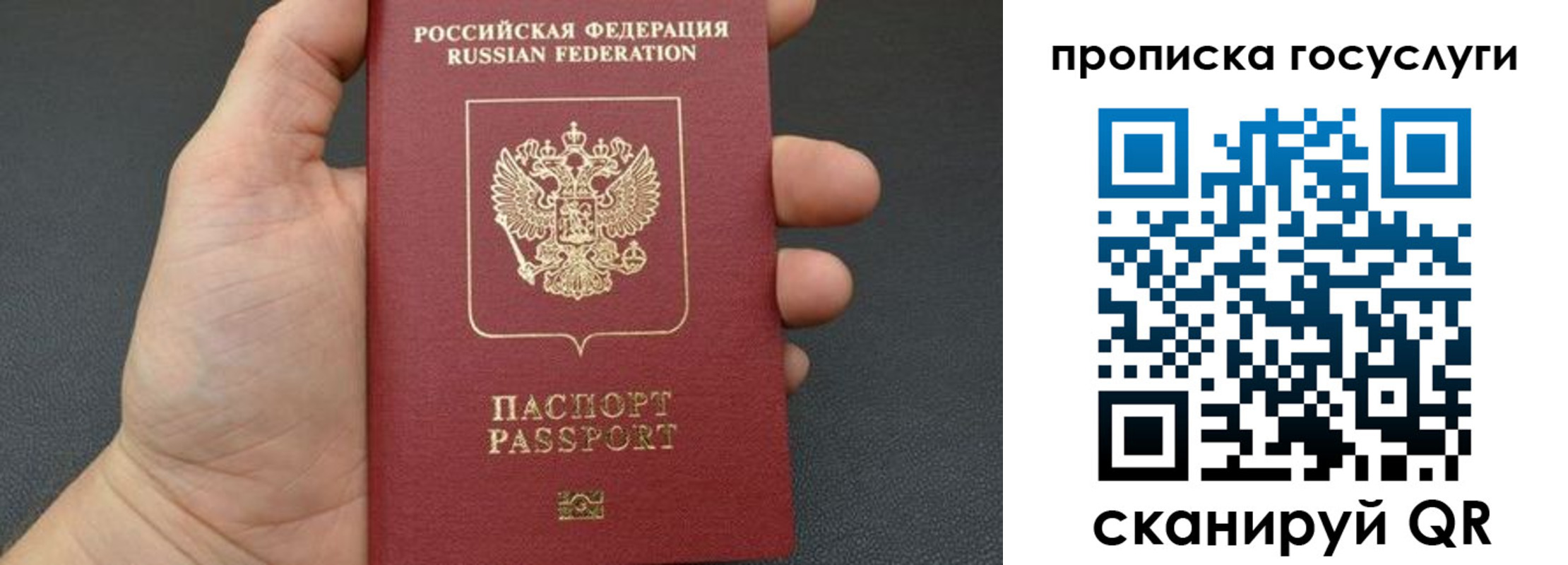 купить прописку в Владимирской области